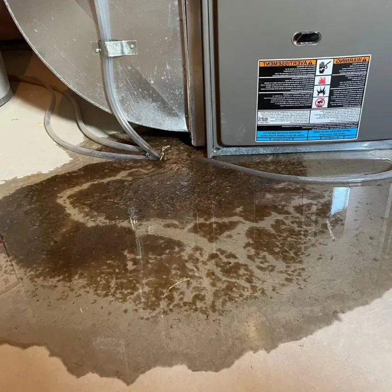 Pipe Burst and Leak Restoration in Cumberland Center, ME